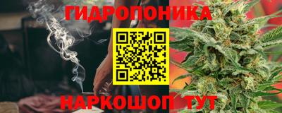 крисы Шахты