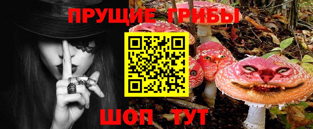Псилоцибиновые грибы ЛСД Пенза